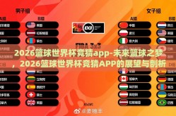 2026篮球世界杯竞猜app-未来篮球之梦，2026篮球世界杯竞猜APP的展望与剖析