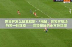 世界杯怎么玩竞猜啊-「揭秘，世界杯赛场的另一种狂欢——竞猜玩法的全方位指南」