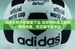 足球世界杯在哪里下注-当世界杯遇上激情，理性观赛，在正确平台下注
