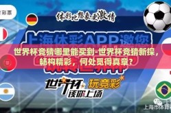 世界杯竞猜哪里能买到-世界杯竞猜新探，畅构精彩，何处觅得真章？