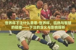 世界杯下注什么意思-世界杯，狂热与智慧的碰撞——下注的含义与影响探析