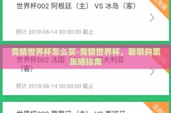 竞猜世界杯怎么买-竞猜世界杯，聪明购票策略指南