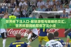 世界杯下注入口-解锁激情与策略的交汇，世界杯期间的那些下注小径