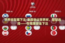 世界杯在哪下注-全民热议世界杯，智慧选择——在哪里安全下注