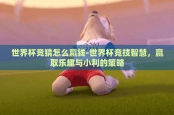世界杯竞猜怎么赢钱-世界杯竞技智慧，赢取乐趣与小利的策略