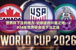 世界杯下注的地方-论球迷的兴奋之地，2026年世界杯合法下注之选