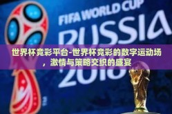 世界杯竞彩平台-世界杯竞彩的数字运动场，激情与策略交织的盛宴