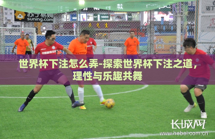 世界杯下注怎么弄-探索世界杯下注之道，理性与乐趣共舞