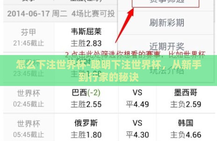 怎么下注世界杯-聪明下注世界杯,从新手到行家的秘诀 怎么下注世界杯-聪明下注世界杯,从新手到行家的秘诀