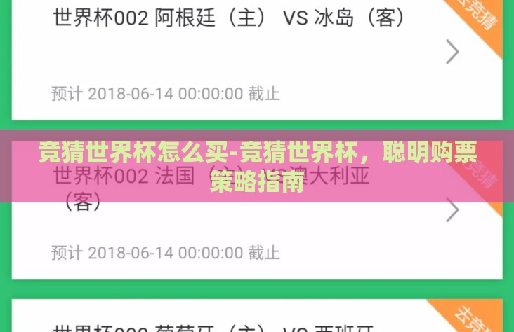 竞猜世界杯怎么买-竞猜世界杯，聪明购票策略指南