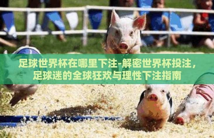 足球世界杯在哪里下注-解密世界杯投注,足球迷的全球狂欢与理性下注指南 足球世界杯在哪里下注-解密世界杯投注,足球迷的全球狂欢与理性下注指南