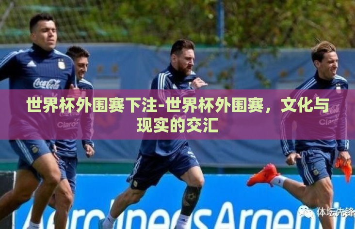 世界杯外围赛下注-世界杯外围赛，文化与现实的交汇