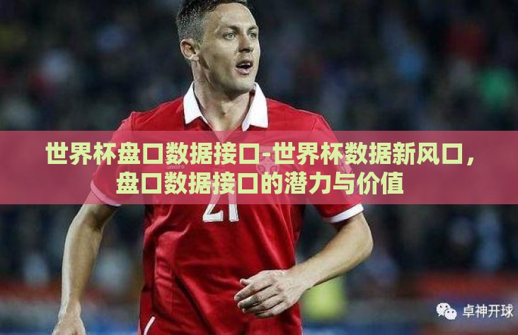 世界杯盘口数据接口-世界杯数据新风口，盘口数据接口的潜力与价值