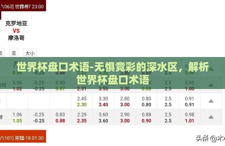 世界杯盘口术语-无惧竞彩的深水区,解析世界杯盘口术语 世界杯盘口术语-无惧竞彩的深水区,解析世界杯盘口术语