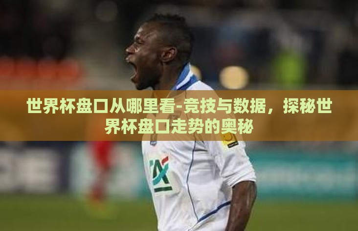 世界杯盘口从哪里看-竞技与数据，探秘世界杯盘口走势的奥秘