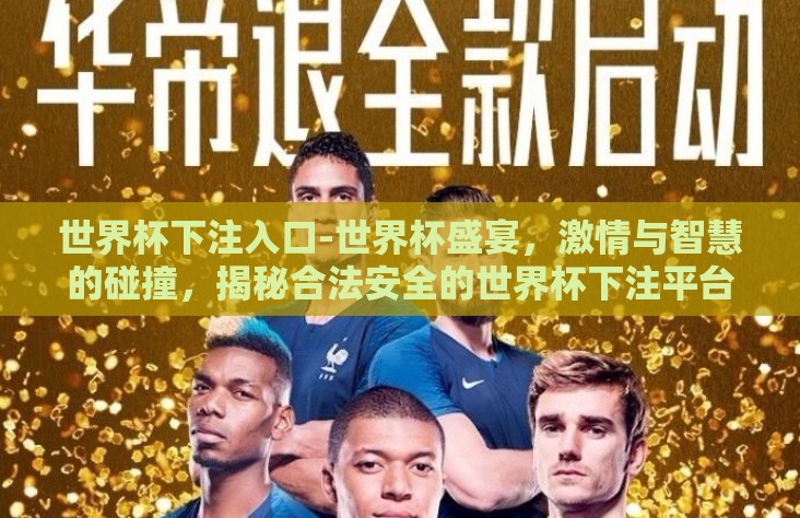 世界杯下注入口-世界杯盛宴，激情与智慧的碰撞，揭秘合法安全的世界杯下注平台遴选指南