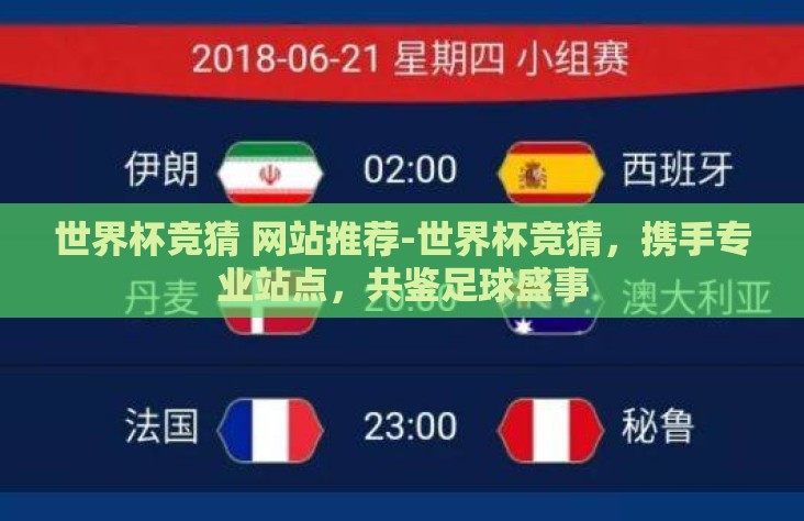世界杯竞猜 网站推荐-世界杯竞猜，携手专业站点，共鉴足球盛事