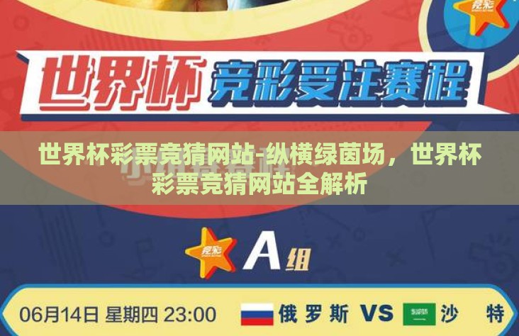 世界杯彩票竞猜网站-纵横绿茵场,世界杯彩票竞猜网站全解析 世界杯彩票竞猜网站-纵横绿茵场,世界杯彩票竞猜网站全解析