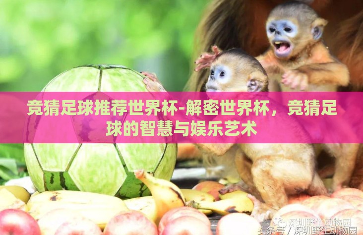 竞猜足球推荐世界杯-解密世界杯,竞猜足球的智慧与娱乐艺术 竞猜足球推荐世界杯-解密世界杯,竞猜足球的智慧与娱乐艺术