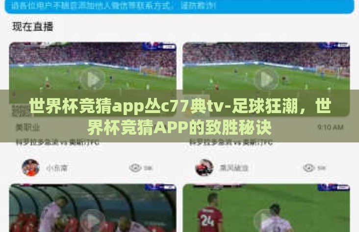 世界杯竞猜app丛c77典tv-足球狂潮，世界杯竞猜APP的致胜秘诀