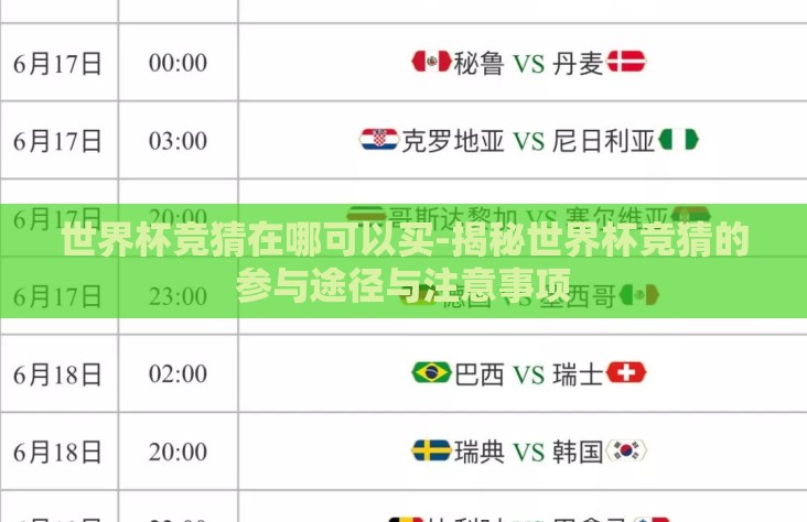 世界杯竞猜在哪可以买-揭秘世界杯竞猜的参与途径与注意事项