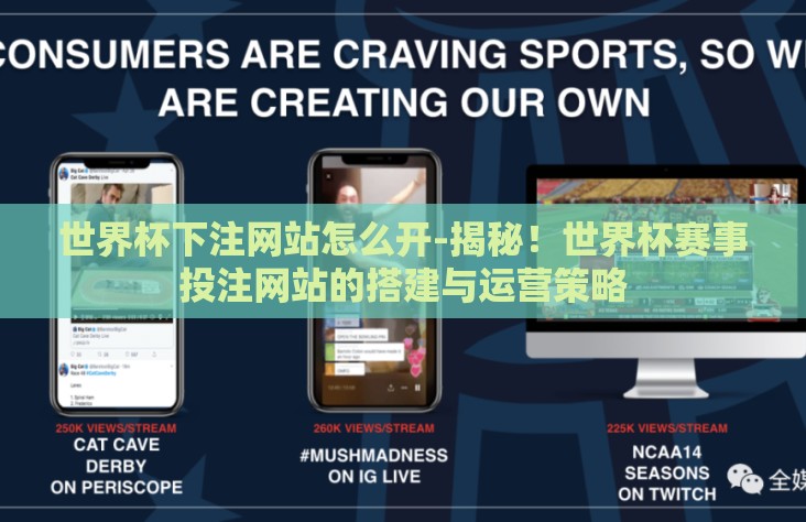 世界杯下注网站怎么开-揭秘！世界杯赛事投注网站的搭建与运营策略