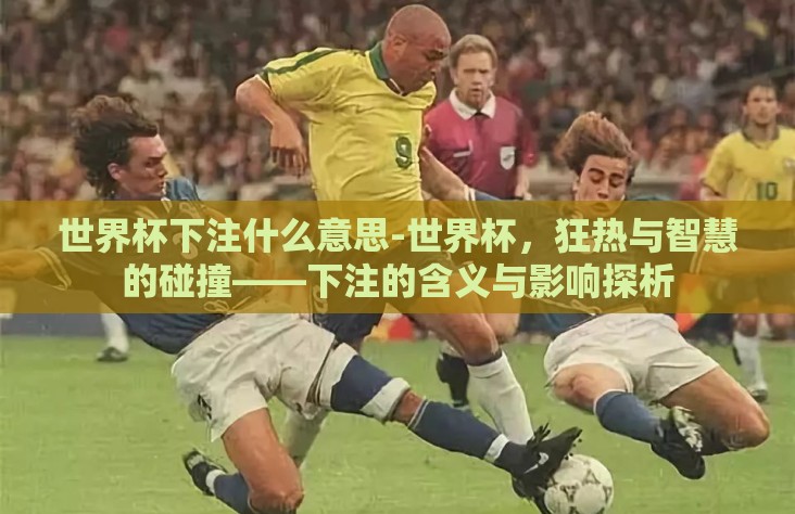 世界杯下注什么意思-世界杯，狂热与智慧的碰撞——下注的含义与影响探析