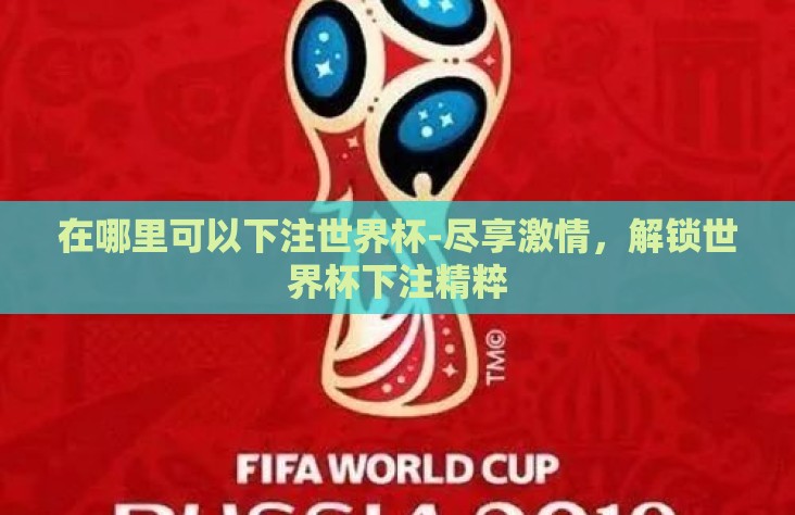 在哪里可以下注世界杯-尽享激情,解锁世界杯下注精粹 在哪里可以下注世界杯-尽享激情,解锁世界杯下注精粹