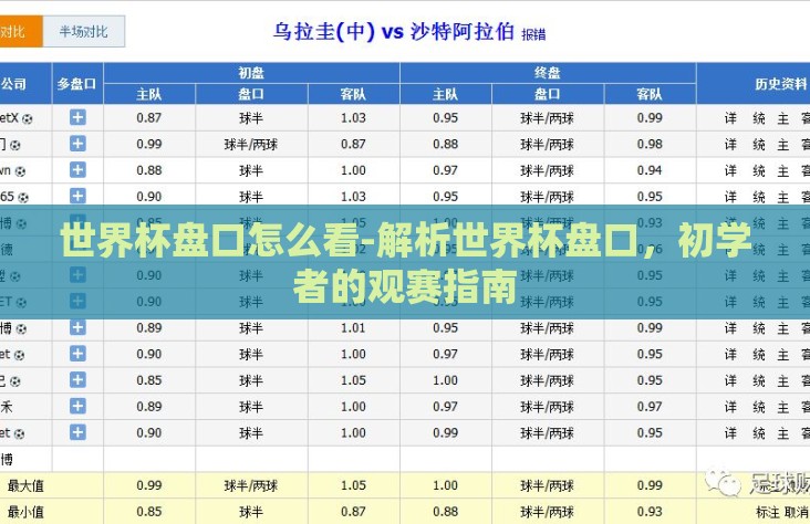 世界杯盘口怎么看-解析世界杯盘口,初学者的观赛指南 世界杯盘口怎么看-解析世界杯盘口,初学者的观赛指南