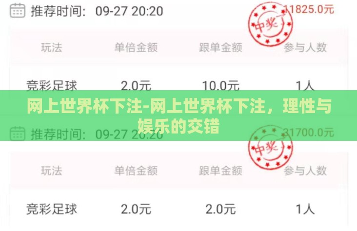 网上世界杯下注-网上世界杯下注，理性与娱乐的交错