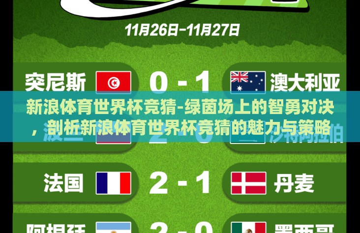 新浪体育世界杯竞猜-绿茵场上的智勇对决，剖析新浪体育世界杯竞猜的魅力与策略