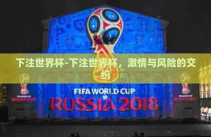 下注世界杯-下注世界杯，激情与风险的交织