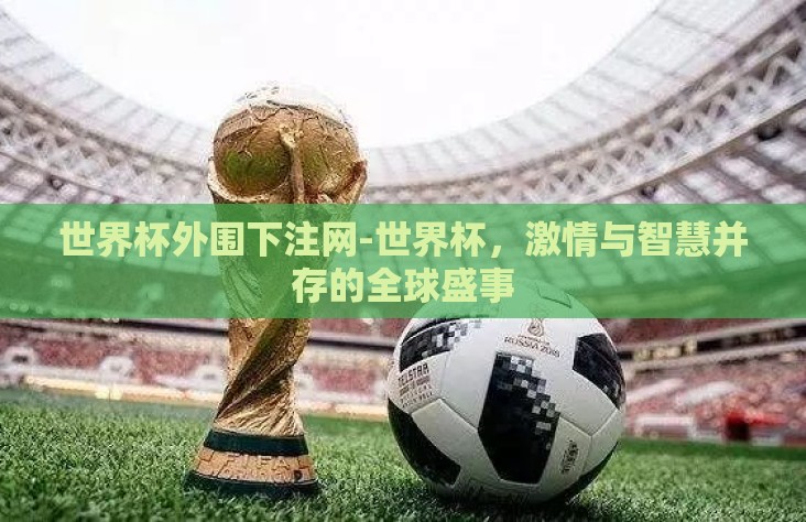 世界杯外围下注网-世界杯，激情与智慧并存的全球盛事