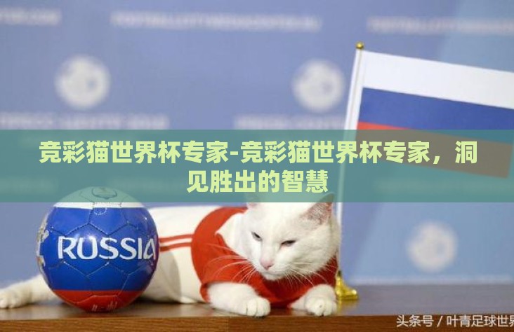 竞彩猫世界杯专家-竞彩猫世界杯专家，洞见胜出的智慧