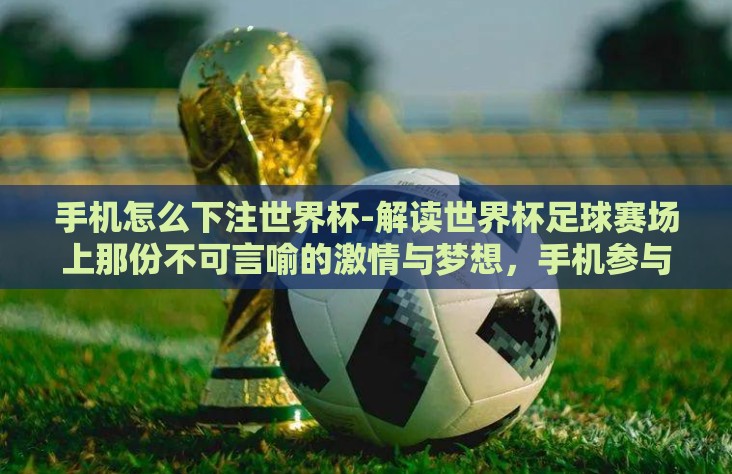 手机怎么下注世界杯-解读世界杯足球赛场上那份不可言喻的激情与梦想，手机参与下注的正确方式及风险提示
