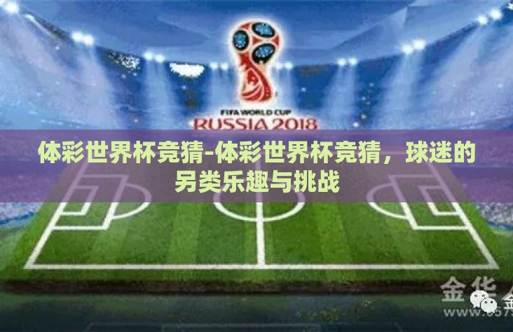 体彩世界杯竞猜-体彩世界杯竞猜,球迷的另类乐趣与挑战 体彩世界杯竞猜-体彩世界杯竞猜,球迷的另类乐趣与挑战