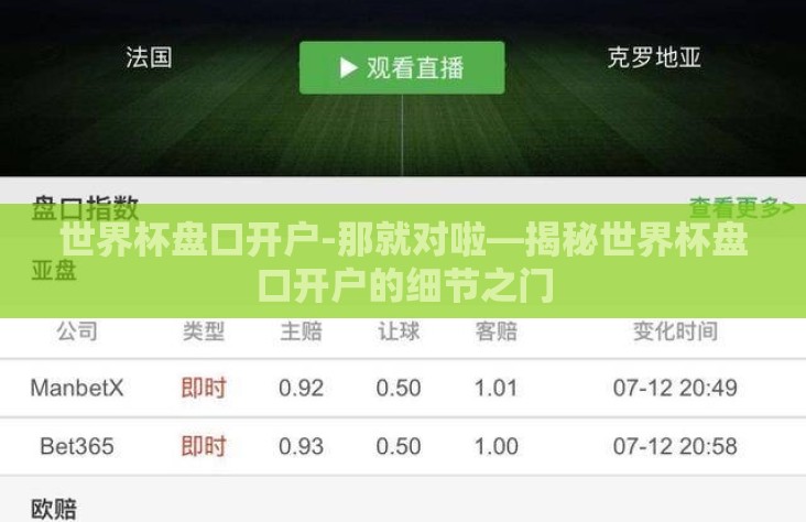 世界杯盘口开户-那就对啦—揭秘世界杯盘口开户的细节之门