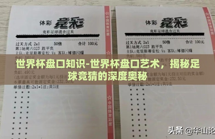 世界杯盘口知识-世界杯盘口艺术，揭秘足球竞猜的深度奥秘
