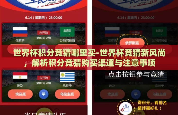 世界杯积分竞猜哪里买-世界杯竞猜新风尚，解析积分竞猜购买渠道与注意事项