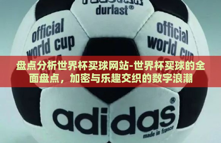 盘点分析世界杯买球网站-世界杯买球的全面盘点，加密与乐趣交织的数字浪潮