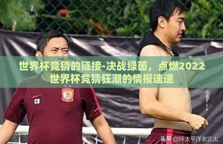 世界杯竞猜的链接-决战绿茵，点燃2022世界杯竞猜狂潮的情报速递