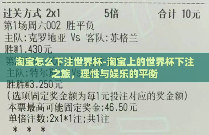 淘宝怎么下注世界杯-淘宝上的世界杯下注之旅，理性与娱乐的平衡