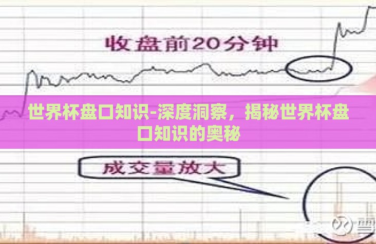 世界杯盘口知识-深度洞察,揭秘世界杯盘口知识的奥秘 世界杯盘口知识-深度洞察,揭秘世界杯盘口知识的奥秘