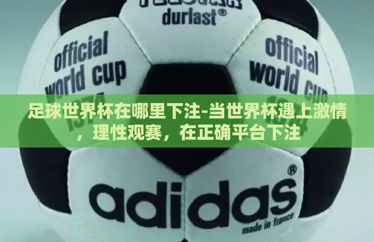 足球世界杯在哪里下注-当世界杯遇上激情，理性观赛，在正确平台下注
