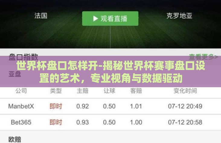 世界杯盘口怎样开-揭秘世界杯赛事盘口设置的艺术，专业视角与数据驱动