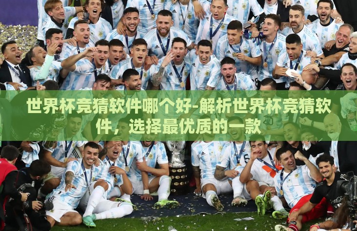 世界杯竞猜软件哪个好-解析世界杯竞猜软件，选择最优质的一款
