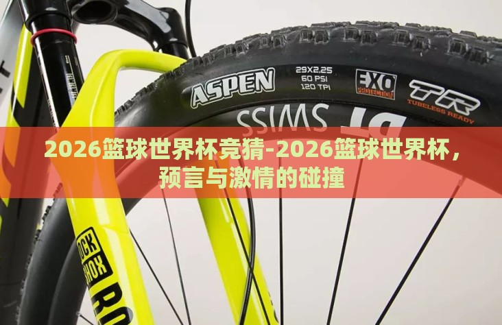2026篮球世界杯竞猜-2026篮球世界杯，预言与激情的碰撞