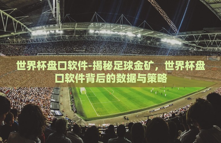 世界杯盘口软件-揭秘足球金矿，世界杯盘口软件背后的数据与策略