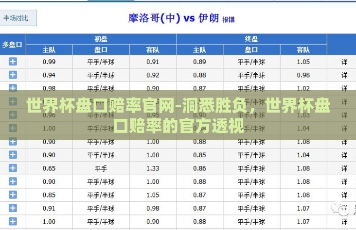 世界杯盘口赔率官网-洞悉胜负，世界杯盘口赔率的官方透视