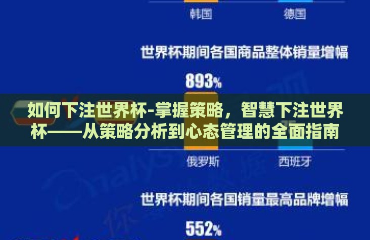 如何下注世界杯-掌握策略，智慧下注世界杯——从策略分析到心态管理的全面指南